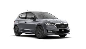 SKODA FABIA 1.0MPI EVO SELECTION 80 CV