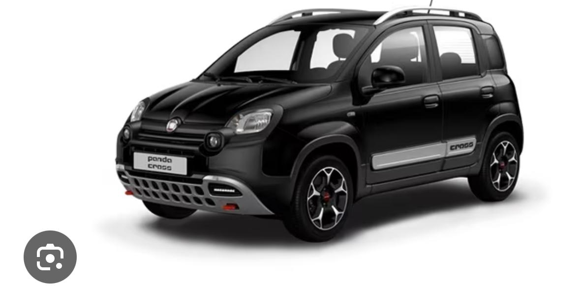 Fiat Panda 900 twin air 4×4 cross anno 2014
